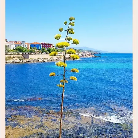 La Rucchetta فيلة