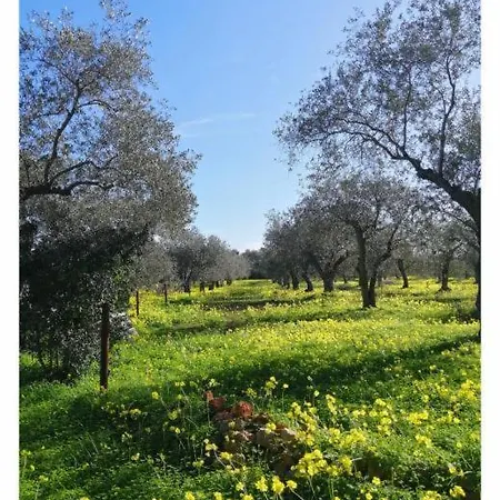 La Rucchetta