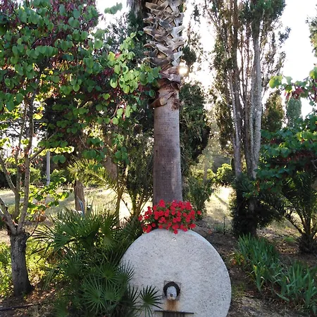 Villa La Rucchetta Alghero