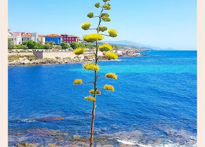 La Rucchetta ヴィラ