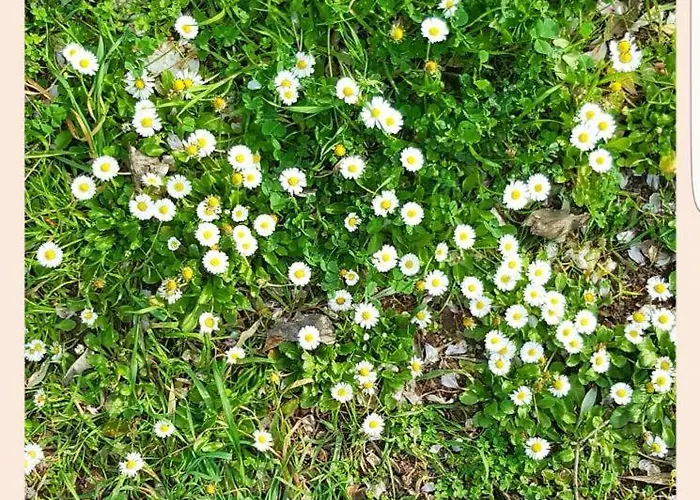 La Rucchetta * Alguer