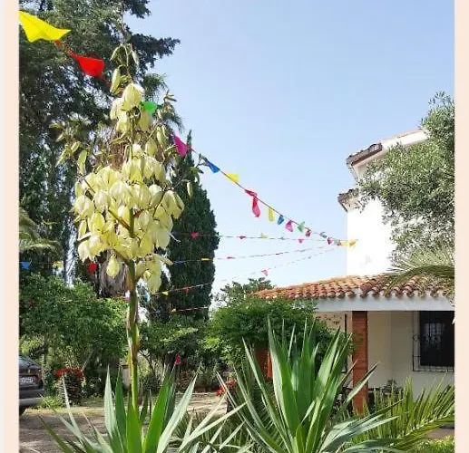 Villa La Rucchetta Alguer