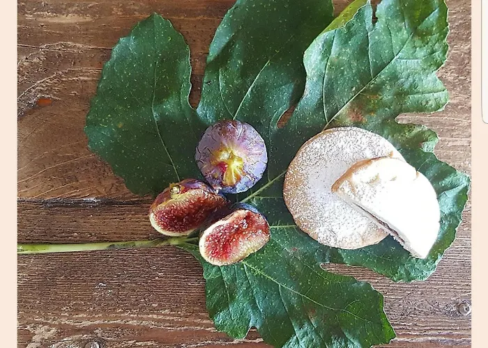 ヴィラ La Rucchetta