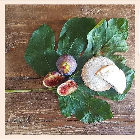 La Rucchetta Vila Alghero