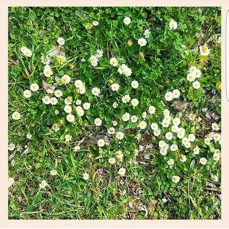 La Rucchetta * Alghero