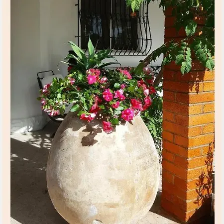 La Rucchetta Villa