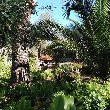 La Rucchetta *