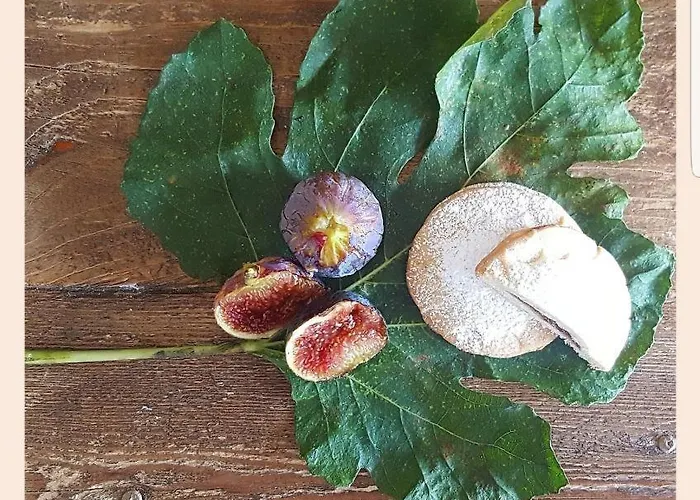 La Rucchetta Villa Alghero